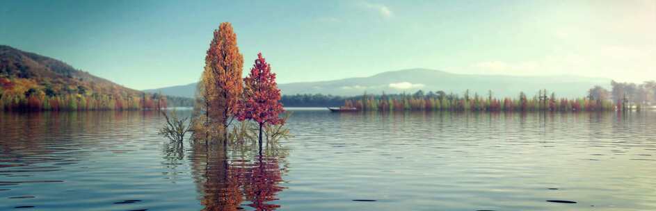 湖面风景水杉自然风光三维动画