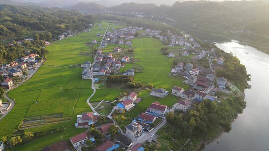 航拍美丽乡村农业种植稻田