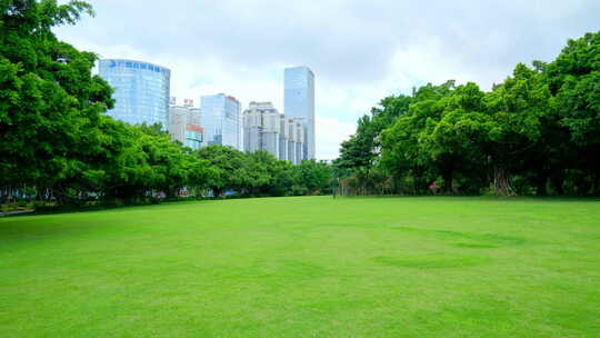 树林 森林 草坪 草地 绿地 榕树