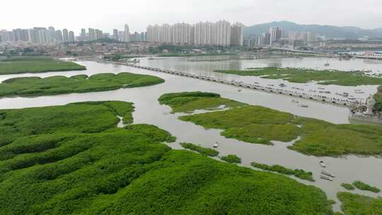 福建泉州洛阳桥万安桥泉州洛江区航拍