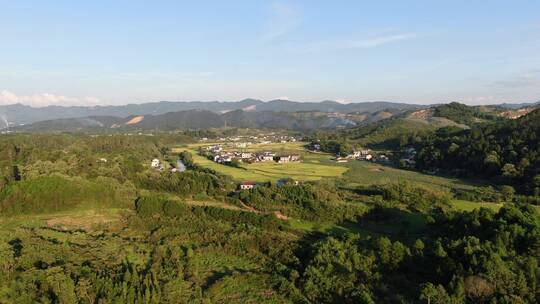 美丽乡村秋收金黄稻田航拍