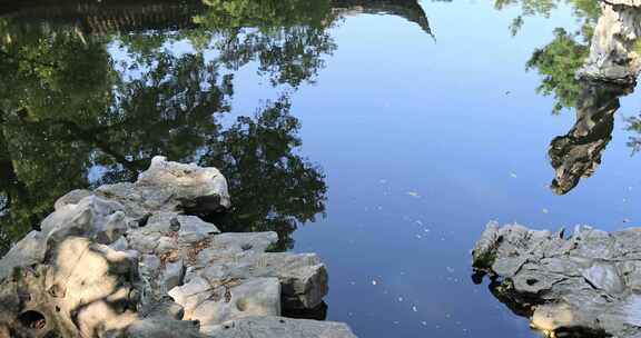 阳光绿植太湖石园林庭院水景沉浸式氛围