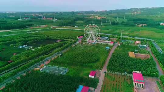 花草树木 美丽城市 生态环境 自然美景