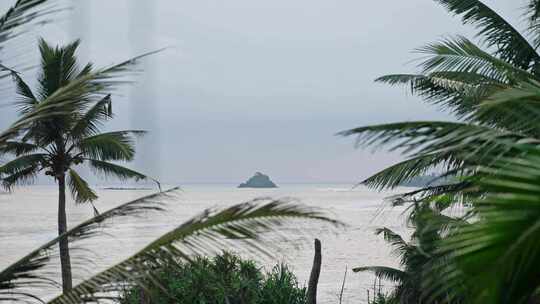 椰子树，海滩，度假村，海