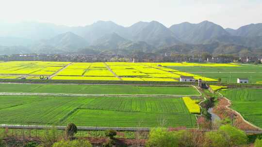 杭州富阳富春江两岸春天风景航拍