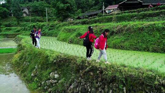 农村小学生走读上学视频素材模板下载