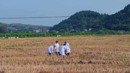 航拍天府粮仓农田农业耕地