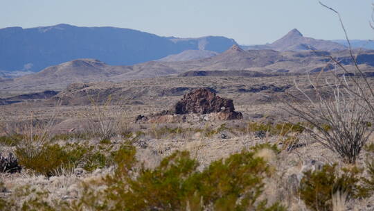德克萨斯州沙漠中的大弯岩石