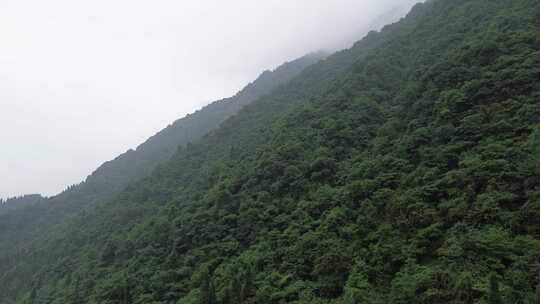 云雾缭绕四川九峰山、巍峨大山