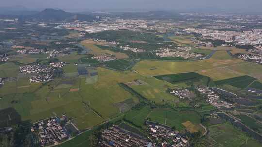 乡村  田野  农田  农业