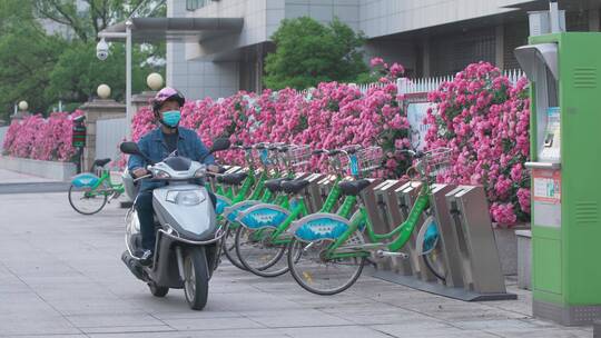 城市里的花——蔷薇视频素材模板下载