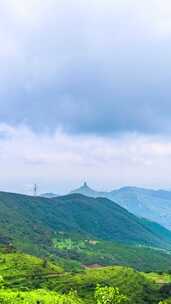 夏季晴天阳光下的山顶云海