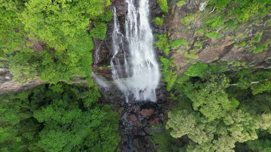 沿着一个湍急的瀑布下降，深入热带雨林旅游