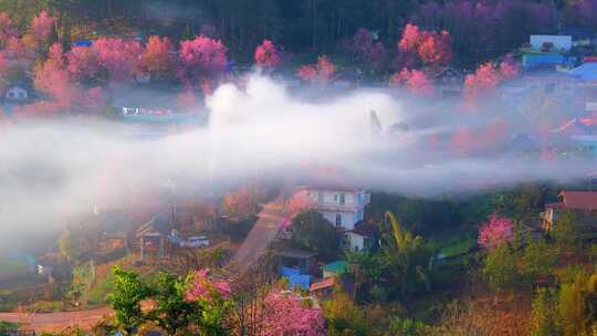 延时摄像美丽的乡村美景