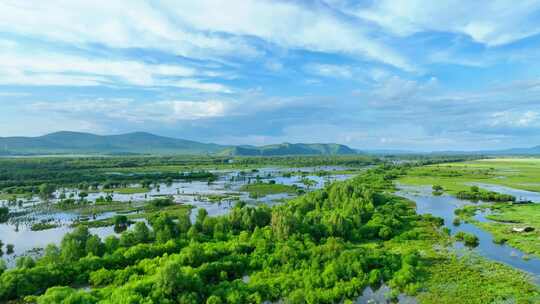 航拍内蒙古根河湿地风光