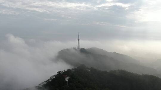 湛江廉江塘山岭云雾缭绕的早晨视频素材模板下载