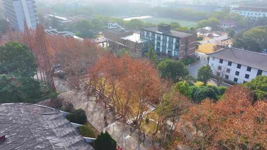 上海杨浦区同济大学本部航拍校园风景风光素