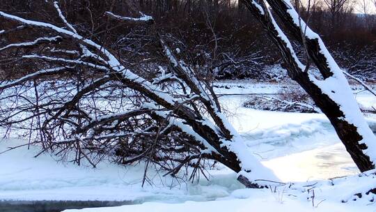 大兴安岭寒冬时节冰封的小溪
