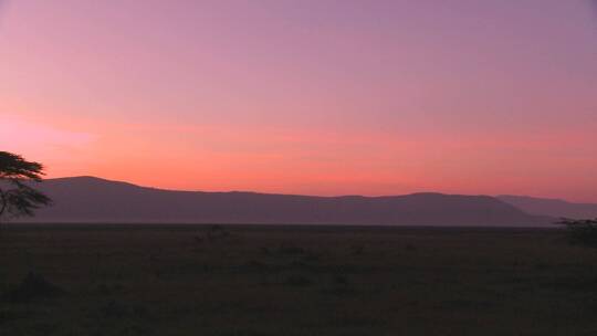 非洲日落时的草原