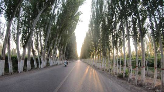 第一视角骑行新疆村路上