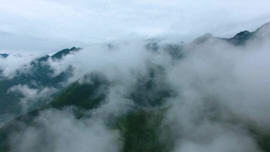 大山云雾 生态环境 云雾缭绕 仙境