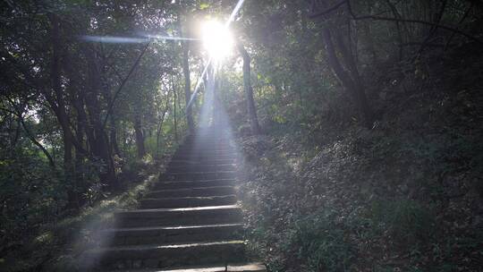 杭州玉皇山景区紫来洞