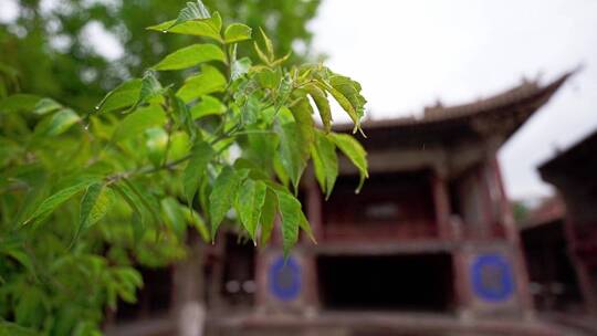 古色古香的寺院建筑