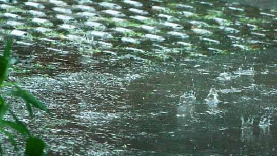暴雨天气雨水滴落在地面溅起水花