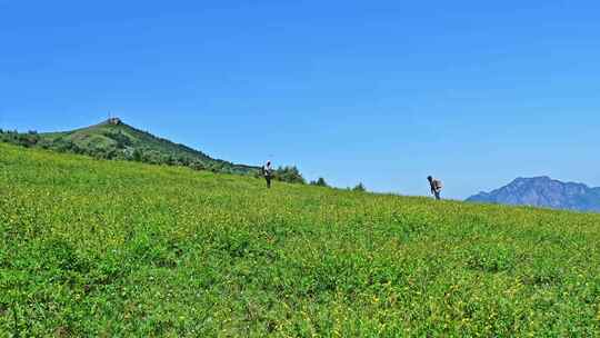 夏季山顶草原户外徒步的人