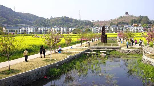 油菜花 春游踏青 游玩公园