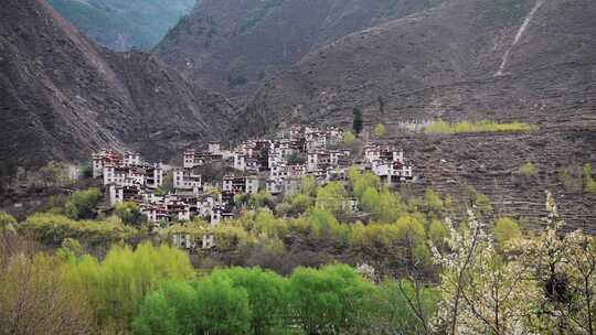 乡村风景丹巴藏寨梨花开