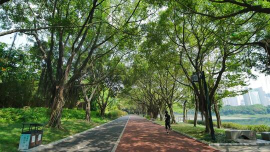 南宁南湖公园阳光林荫跑道