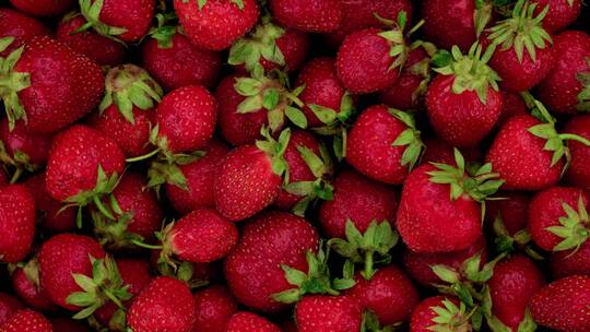 草莓蓝莓树莓视频素材