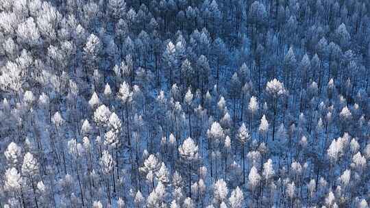 航拍林海雪原雾凇视频241113（14）