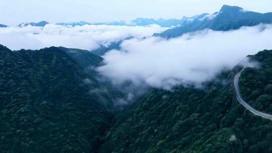 南北分界秦岭蓝关古道云海飘荡航拍延时4k