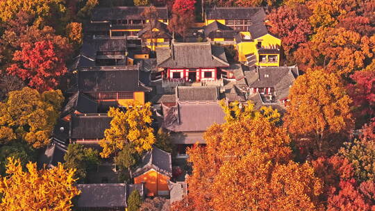 南京钟山风景区灵谷寺秋景