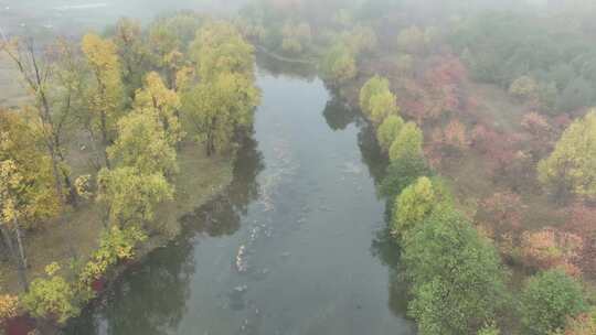 秋季晨雾缭绕的森林河流