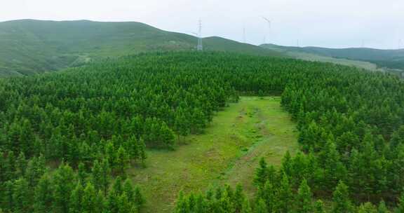 草原森林与高压电塔风力发电机