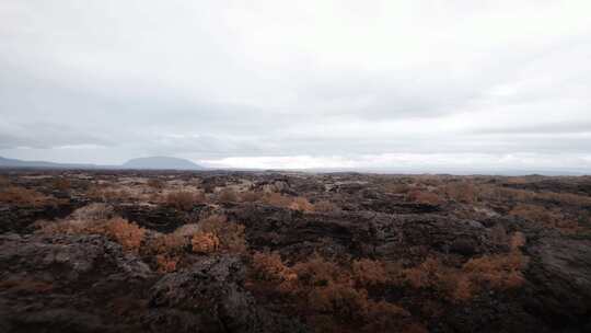 火山岩，冰岛，植被，基岩