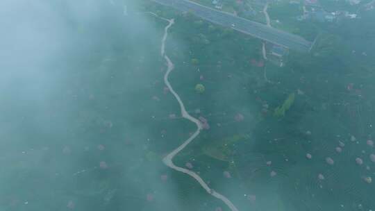 穿过云海俯瞰杭州富阳茶山