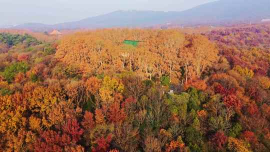 航拍秋季清晨南京中山陵风景区美龄宫