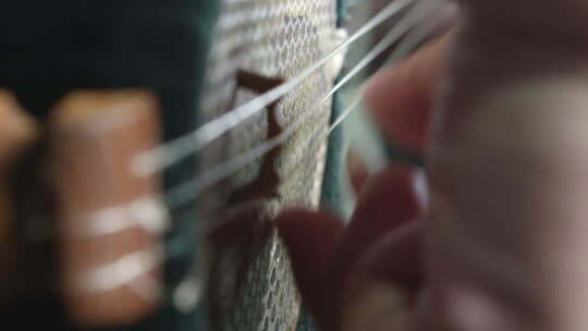 女人演奏琵琶的手特写