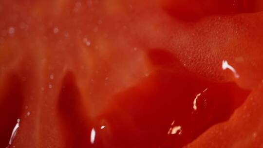 【镜头合集】微距番茄种子番茄果肉