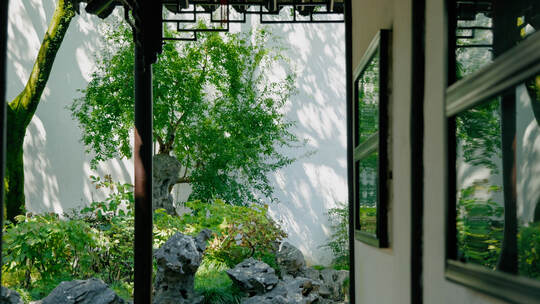 苏州园林局部唯美合集