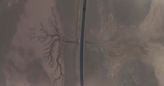 西藏那曲地区大地之树纹理河道高空航拍