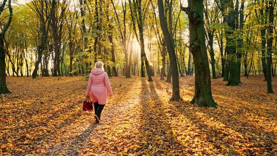 女人走在秋季公园小路上视频素材模板下载