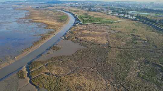 航拍福州闽江河口湿地公园视频素材模板下载