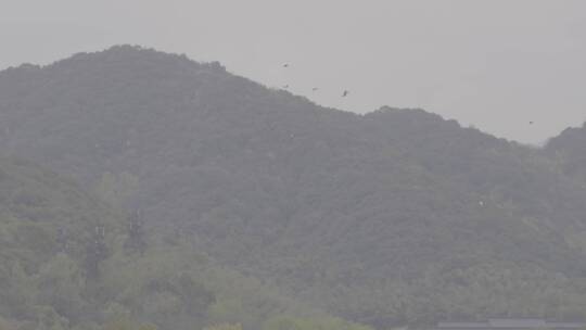 湘湖春天雨后实拍素材