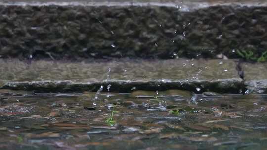 老房子下雨瓦片滴水