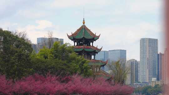 城市河流两岸风光全景